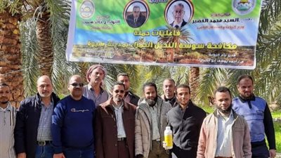 إنطلاق حملة مكافحة سوسة النخيل لمدة شهر بسيوة