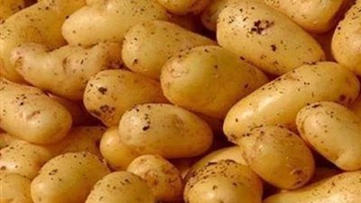 انخفاض غير مسبوقة لاسعار البطاطس والـ3 كيلو بـ10جنيه.. تعرف على السبب