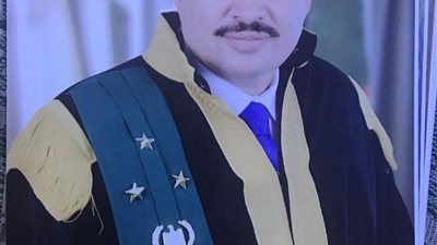 حكم جديد 