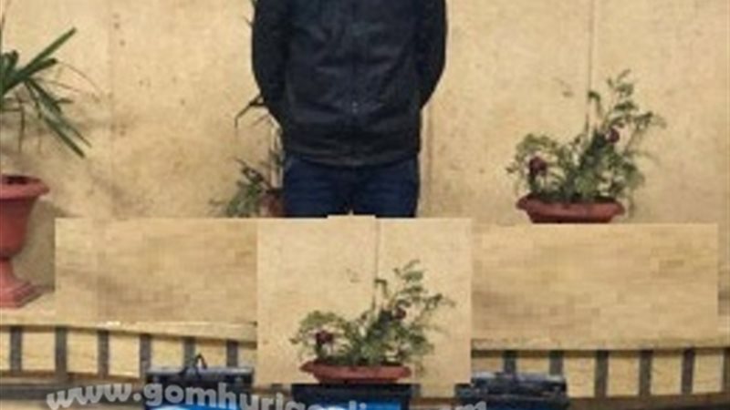 حمامه لص بطاريات