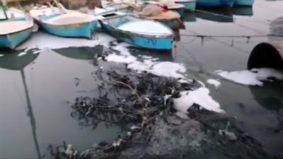 سموم الصرف الصحي تقتل الثروة السمكية و تطيح بمصايف فنارة بالإسماعيلية .فيديو