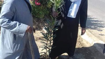 زراعة 1350 شجرة وطلاء اكشاك الكهرباء في القرنة بالأقصر.صور