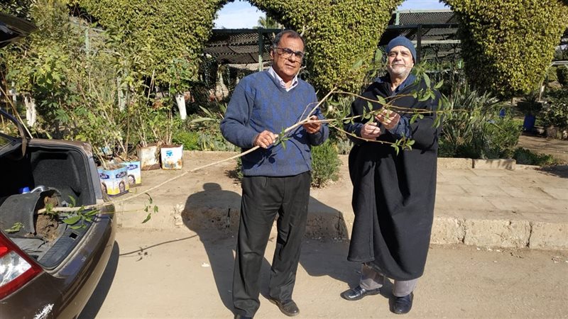 بوابة الجمهورية