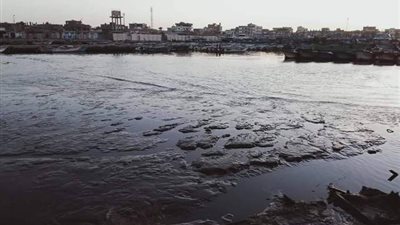 نائب محمد زين يتهم الحكومة بالإهمال فى تطهير ميناء صيد المعدية بأدكو