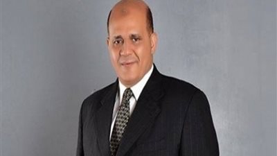 النائب طارق متولي مبادرة الهوية البصرية بمحافظات مصر تساعد على الترويج السياحي لمصر