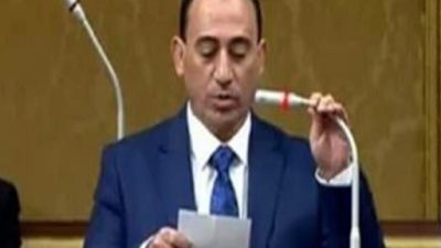 وكيل نقل النواب يحذر من خطورة اختفاء البرامج المفيدة للأطفال