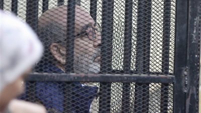 الجنايات تعاقب شقيق بطرس غالى بـ30 سنة سجن وغرامة 5 ملايين جنيه