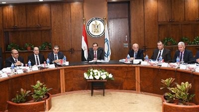 وزير البترول: الغاز يمثل شريانا رئيسيا للعديد من الصناعات الاستراتيجية