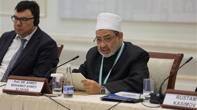 شيخ الأزهر: العالم العربي والإسلامي لم يحسم أمره بين التطور والتيه
