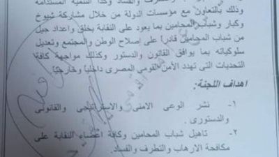 عاشور.. يعتمد كيان شبابي للمحامين باسم 