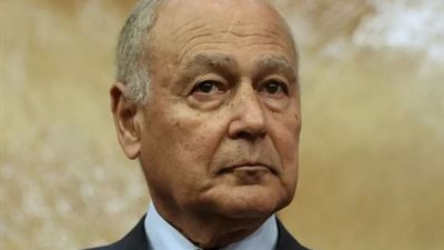 ابو الغيط: لانعانى من أزمة وجود والحلول العسكرية لن تحسم النزاعات