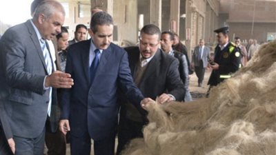 محافظ الغربية .. في زيارة لقرية شبراملس مركز زفتي المتصدرة صناعة الكتان