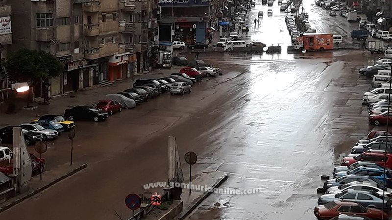 شوارع الاسكندرية