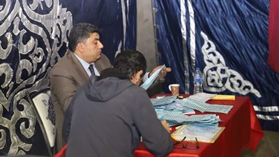 المحامين: المشرف على الانتخابات يؤكد عدم ورود أي نتائج من الفرعيات حتى الآن