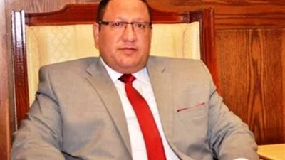 وكيل دفاع النواب قرارات النائب العام هدفها الحفاظ على الوطن وحماية مقدرات الشعب