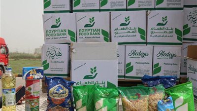 26 ألف كرتونة تموينية لتوزيعها على 178 جمعية أهلية للعمالة غير المنتظمة بسوهاح