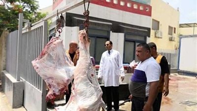 جامعة دمنهور تطرح لحوما بأسعار مخفضة للمواطنين لمحاربة الغلاء.. صور