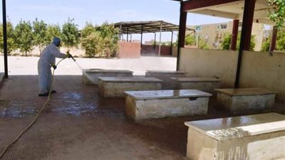 الخارجة تواصل تعقيم مواقف السيارات والمنشآت الحيوية فى الوادى الجديد..بالصور