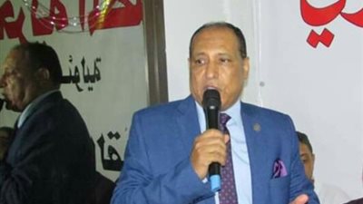 عمر الأصمعي أميناً لمهنيين حزب الحرية المصري بالقاهرة