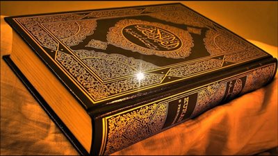 تعرف على الحشرة التي تكلمت في القرآن؟
