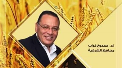 صوامع الشرقية تتزين ب14200طن من سنابل القمح