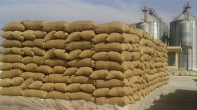 توريد 7919 طن قمح للصوامع والشون حتى الآن