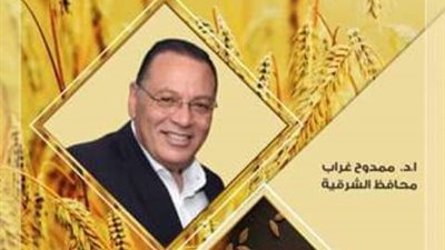 صوامع وشون الشرقية تستقبل 30 ألف طن من سنابل الخير اليوم