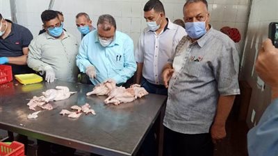 محافظ أسيوط: تحرير 1495 محضرا تموينيا خلال حملة اليوم الواحد .صور