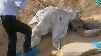 تنجو من الموت بعد 3 أيام من دفنها وهي على قيد الحياة.. والشرطة تلقي القبض على ابنها