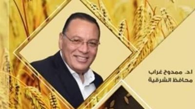 28 ألف طن من الذهب الابيض تدخل شون وصوامع الشرقية اليوم