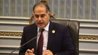 وكيل البرلمان: النائبة شيرين فراج المصابة بكورونا خالطت 12 نائبا