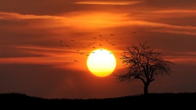 ما حكم الخطأ في ظن طلوع الفجر وغروب الشمس فى الصيام؟