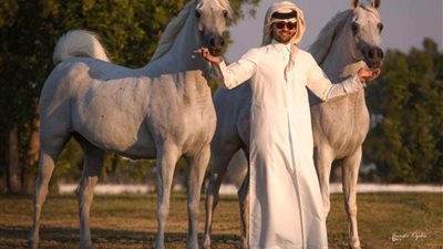 أحمد عبدالله: مسابقات ومهرجانات الخيول وسيلة للترويج للسياحة