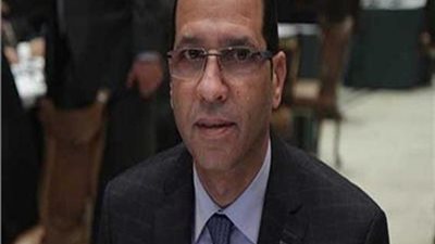 النائب خالد مشهور: تعمير سيناء قضية أمن قومي ويجب حث الشباب على التوطين والاستثمار بها