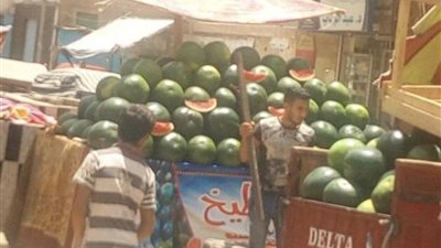 محافظ الغربية : حملات مكثفة لرفع الاشغالات .. وتحرير 11 محضر للمخالفين بمدينة السنطة