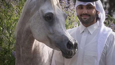 أحمد عبدالله: مصر جديرة بتنظيم مسابقات الفروسية العالمية