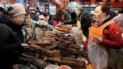 مدينة ووهان تفرض حظرًا تامًا على تناول الحيوانات البرية وتجارتها