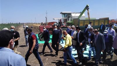 القصير: رفع كفاءة مزارع الانتاج الحيواني وادارتها بافكار خارج الصندوق