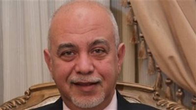 مساعد رئيس الوفد: معاملة الأطباء كشهداء الجيش والشرطة كان ضروري لدعمهم في مواجهة كورونا