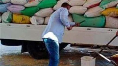توريد 208 ألف و438 طن قمح ببنى سويف