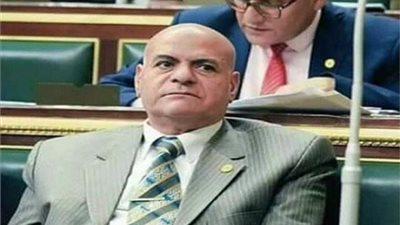 النائب فايز بركات: تطبيقات اللايف والمواعدة إفساد للأخلاق وتهديد للأمن القومي