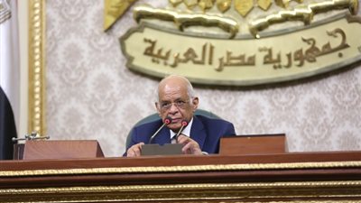 عبدالعال :الرد سيكون قاسيا على اى اعتداء على الأمن القومى المصرى