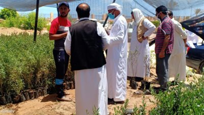 الزراعة إقبال المزارعين على زراعة اللوز بمناطق الزراعة المطرية