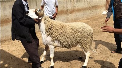 تعرف على موعد عيد الاضحى فلكياً