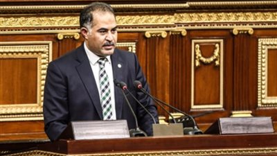 وكيل مجلس النواب: مصر قادرة على انتزاع حقوقها بالقوة والحافظ على أمنها القومي