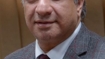 الزياتي:الجيش المصري من أقوى جيوش المنطقة العربية وندعم قرارات السيسي