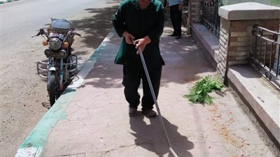 أعمال دهان الأشجار بكورنيش جامعة الزقازيق من امام كلية الصيدلة حتى التجارة