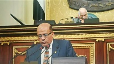 النائب طارق متولي: منظومة الإصلاح الإداري بمثابة ثورة لإنقاذ الشركات من الخسائر ووقف نزيف المال العام