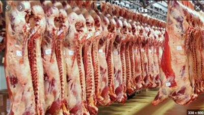 نقيب الفلاحين: اسعار الاضاحي ستنخفض عن مثيلاتها العام الماضي