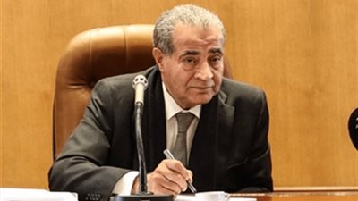 حصاد ثورة 30 يونيو.. مصر تشهد طفرة غير مسبوقة فى قطاع «التجارة الداخلية»